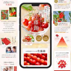 山形県産さくらんぼ 佐藤錦