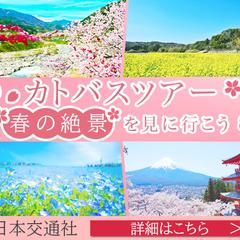 バスツアー　バナー