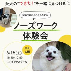ペットイベント広告バナー｜ノーズワーク体験会