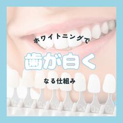 Instagramフィード記事