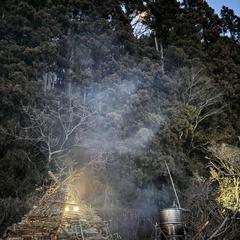 山の中にある私の家の庭。