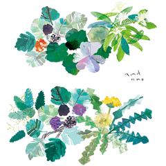 ハーブブレンドティー　パッケージイラスト　クワブレンド