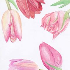 お花のイラスト