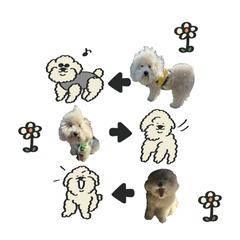 ペットのLINEスタンプ