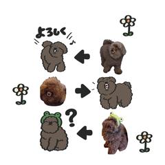 ペットのLINEスタンプ