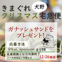 自身のプレゼント企画用の画像