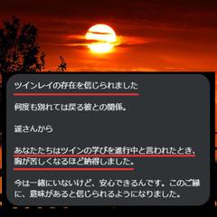 ツインレイ
