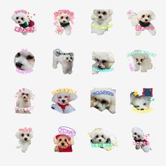 LINEスタンプ