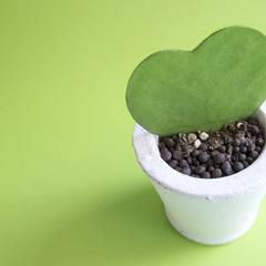 ITプロジェクト現場での鬱病対応