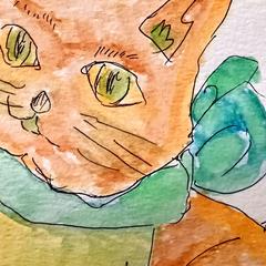 うちのチワワくん