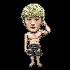 Ｋ-1ファイター