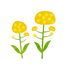 菜の花のイラスト（デフォルメ）