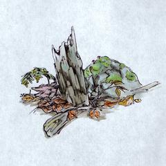 ボールペン画、CLIPSTUDIOPAINTで水彩風着彩