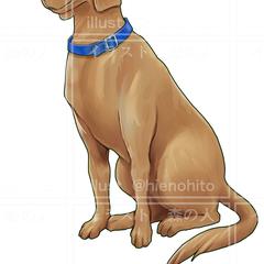 犬の立ち絵