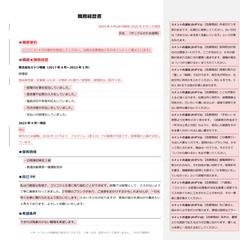 【実物サンプル】添削済みWord｜コメント10か所