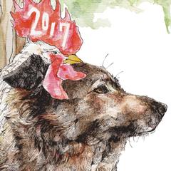 2017 年賀状