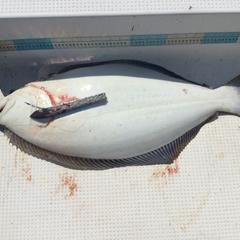 釣りレクチャー