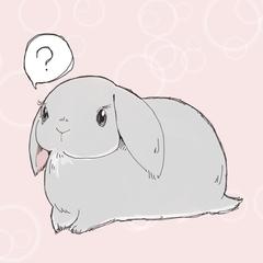 漫画風のうさぎイラスト