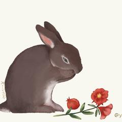 うさぎとザクロ