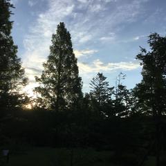 心の安定