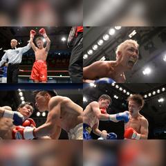 ボクシング東日本新人王戦