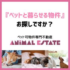 ペット可物件専門不動産のInstagram投稿デザイン