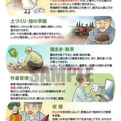 web用漫画制作