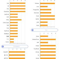 自身のスキルシート_1枚目