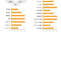 自身のスキルシート_2枚目