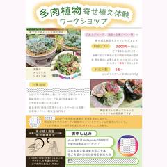チラシ用画像と、Instagram投稿用画像