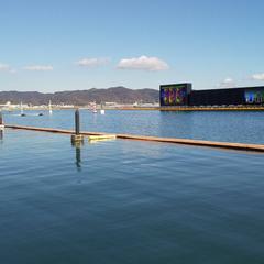 公営競技の執筆、予想、アドバイス