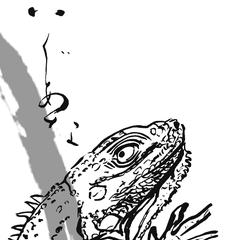 イグアナのイラストと文字