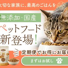 ペットフードの定期便のバナー