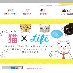 TOMOYA Coloのホームページ制作実績