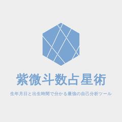 紫微斗数占術奥義