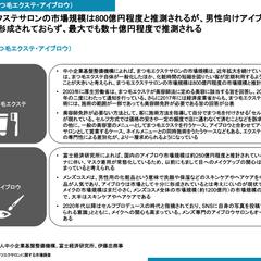 マーケティング企画の支援提供（マツエクサロン市場での展開）