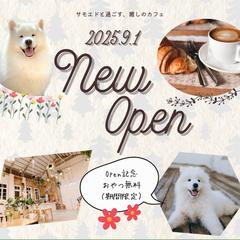 サモエドカフェ