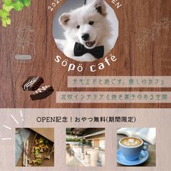 サモエドカフェ❷