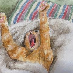 写真の猫ちゃんをイラスト化しました