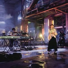 ライブスチールの撮影
