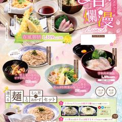 【B4メニュー表】春限定ランチメニュー