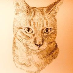 猫の似顔絵