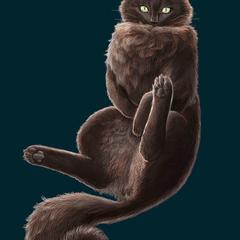 猫の肖像画