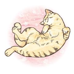 ねこねこ　午睡
