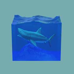 ホオジロザメのモデル