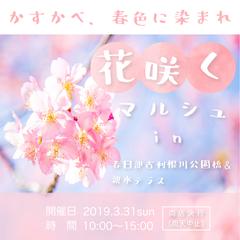桜咲くマルシュ様　バナー