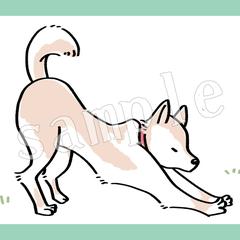 わんちゃん