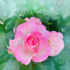 『ありがとう』配信用アートワーク