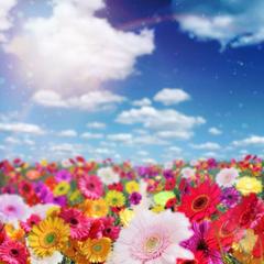 『Flower』配信用ジャケット