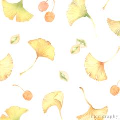 イチョウイラスト　水彩画で
